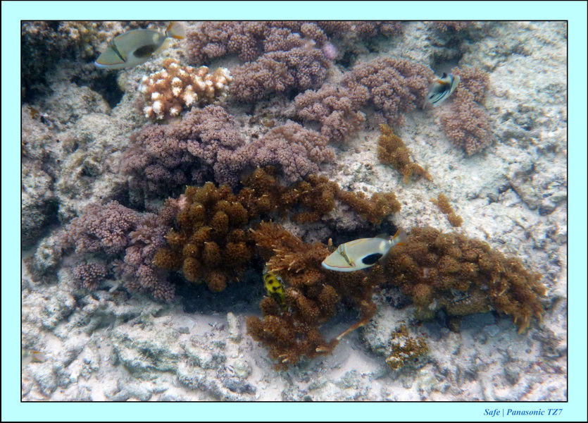 2009   07   Matakin 66